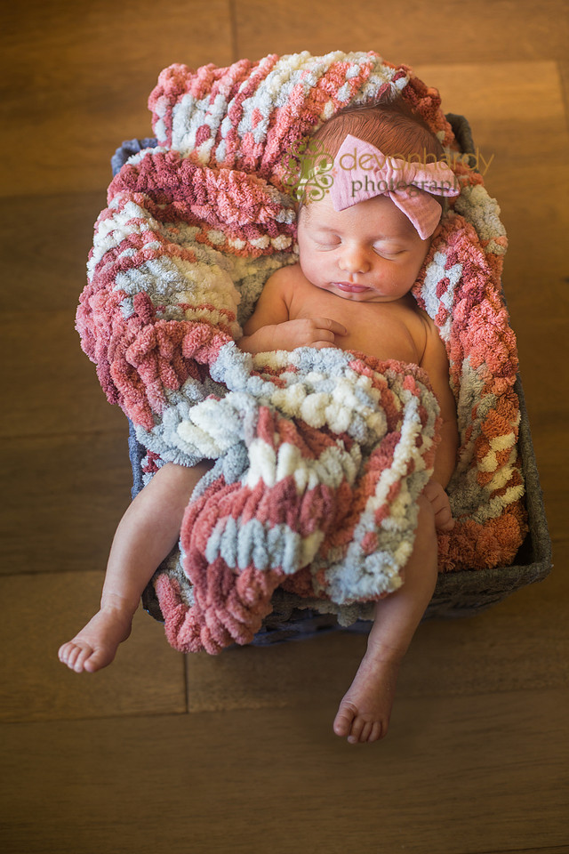 newborn photography, newborn photographer, Tallahassee photographer, newborn portraits, babies, natural light photography