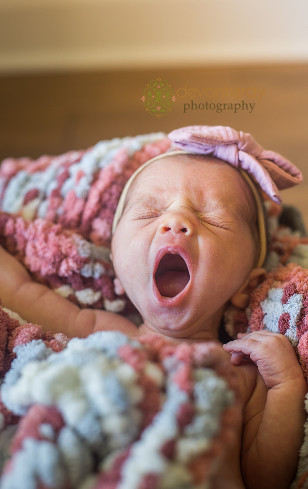 newborn photography, newborn photographer, Tallahassee photographer, newborn portraits, babies, natural light photography, bows and tutus