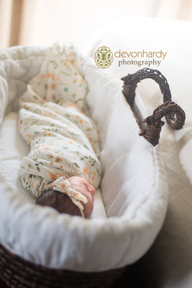 newborn photography, babies, family, children, photo shoot, Tallahassee photographer